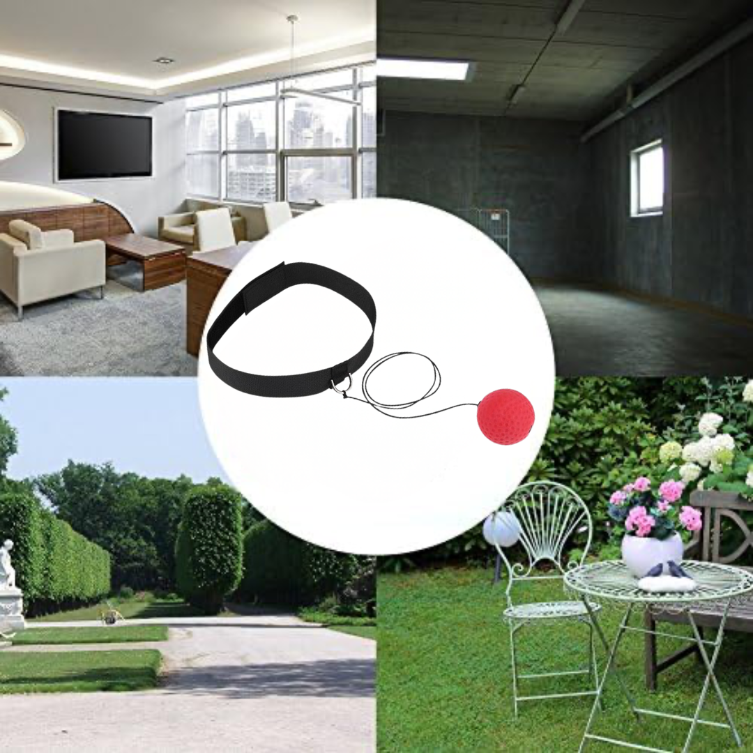 Pelota Reflejo Boxeo