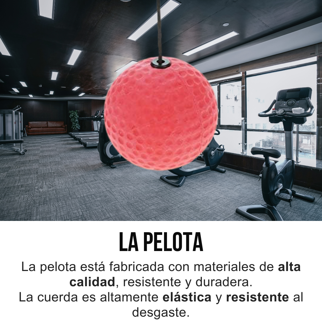 Pelota Reflejo Boxeo
