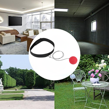 Pelota Reflejo Boxeo